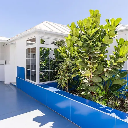 Neon Tenerife Guest house